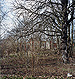 Kostrzyn / K�strin an der Oder