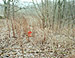 St&ouml;rfall # 1, 2007